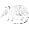 Armadillo Gürteltier