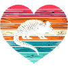 Armadillo Gürteltier