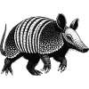 Armadillo Gürteltier