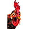 Rooster Herbert