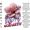 Cherry Blossom Design