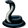 Mamba Serpent Noir