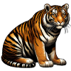 Tiger On the Move
