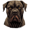 Cane Corso
