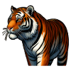 Tiger Feline Beast: Wild Beauty!