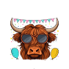 Maman du garçon d’anniversaire