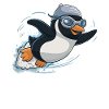 Nageur Pingouin Nageur Natation