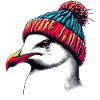 Gull