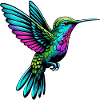 Hummingbird