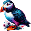 Puffin