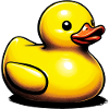 Caneton Canard Canard Canard