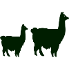 Llama Silhouette