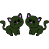 cool cats