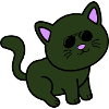cool cat