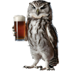 Eule Bier