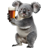 Koala Bier