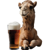 Kamel Bier