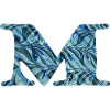m 51