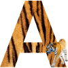 Tiger A