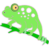 Chamaeleon animal