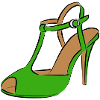 Shoe Women's Shoe