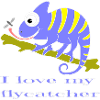 Chamaeleon animal
