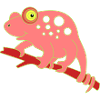 Chamaeleon animal