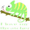 Chamaeleon animal