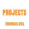 Project Manager