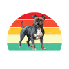 Cadeaux American Bully