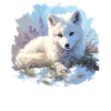 Renard arctique Polarfüchse Polarfuchs