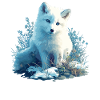 Arctic Fox Polarfüchse Polarfuchs