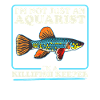 Killifish Fish Egg-laying Toothcarp Gift