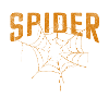 Araignées, Arachnides, Venimeux, Phobie