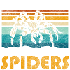spider bite insect