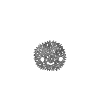 Spider Hunter Terrarium