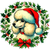 Caniche de Noël