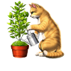 Cat Watering Plants