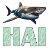 Great white shark