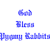 GodBlessPygmyRabbits