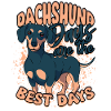 Dachshund wire-haired dachshund