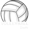 Volleyball team