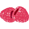 Raspberries