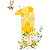 1st Birthday Bee