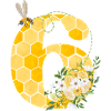6th Birthday Bee