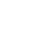 Année 2007