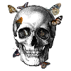 skull and butterflies