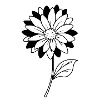 Fleur - Noir et Blanc
