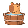 Capybara dans le jacuzzi
