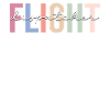 Flight Dispatcher Aviation